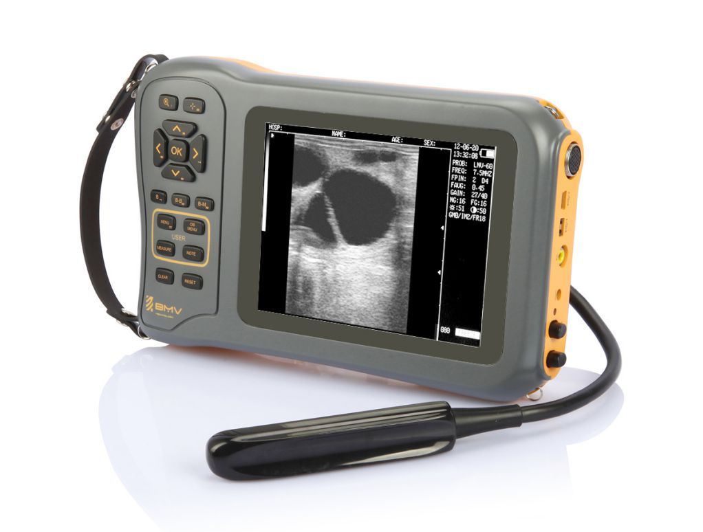 veterinary ultrasound scanner farmscan L60