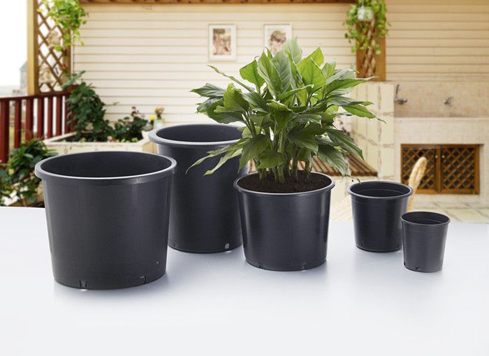 Cheap Black Gallon Pots , 1 2 3 4 5 7 10 15 Gallon Pots