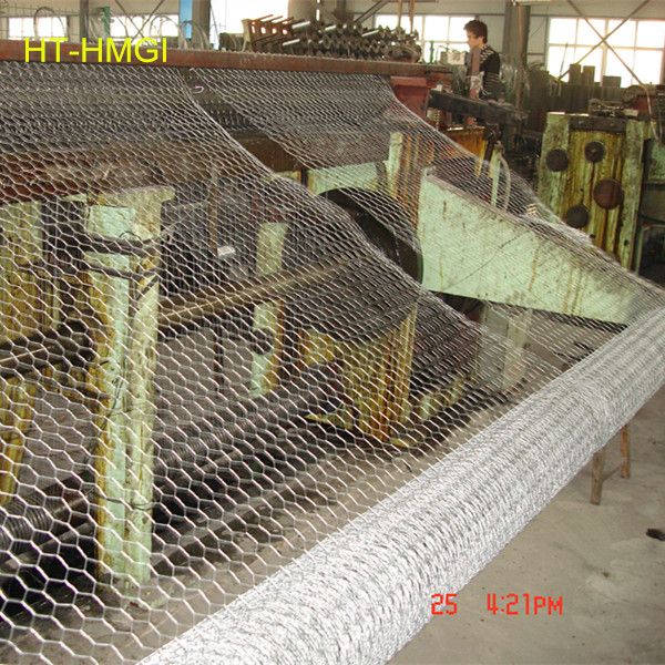 Professional Factory Heavy Hexagonal wire meshMade In China