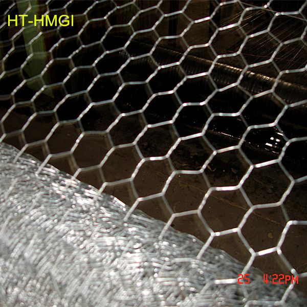 poultry wire netting/poultry netting fence/poultry nethexagonal wire mesh