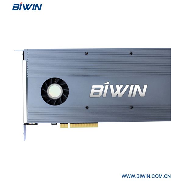 BIWIN 1/2/4 TB PCIe Card Server PCIe SSD E9900 for Enterprise Solution