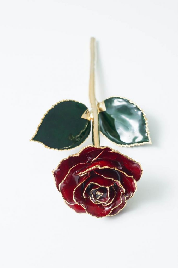 24k gold rose stem