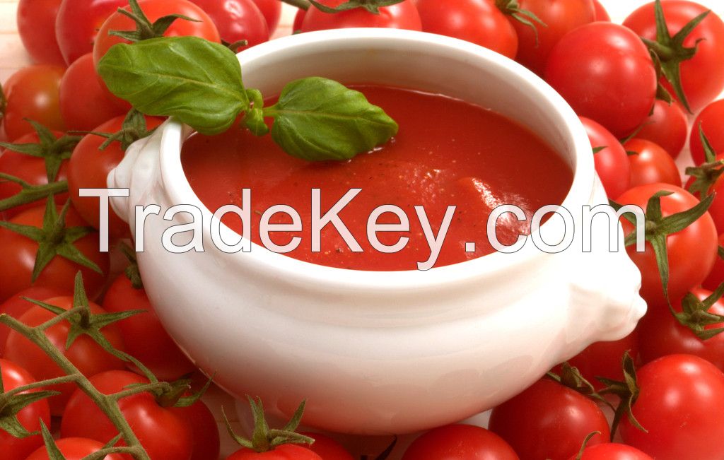 Tomato paste