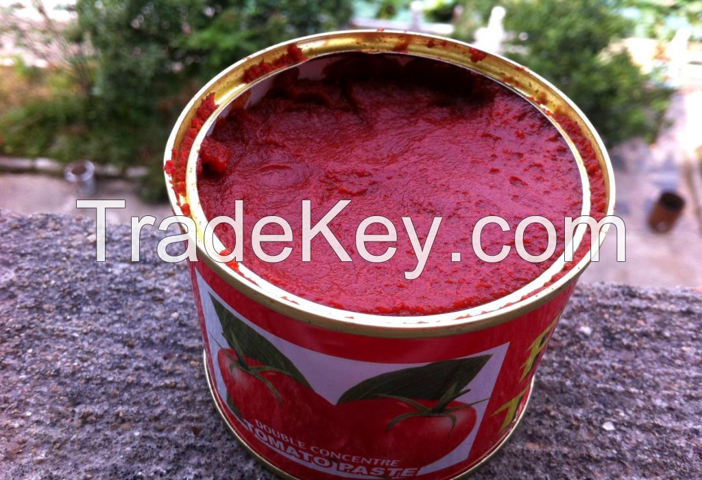 Bulk Buy Chinese canned tomato paste in sauce