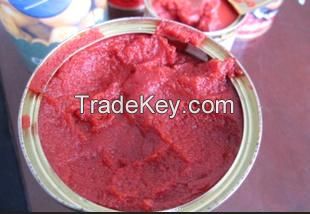 Canned Tomato Paste Factory Import from China