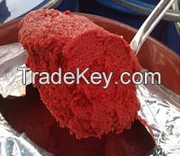 Tomato Paste 36-38% brix cold break