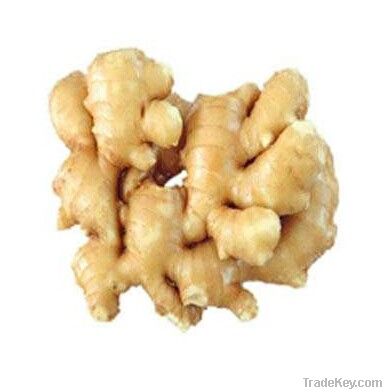 Natural Ginger Extract