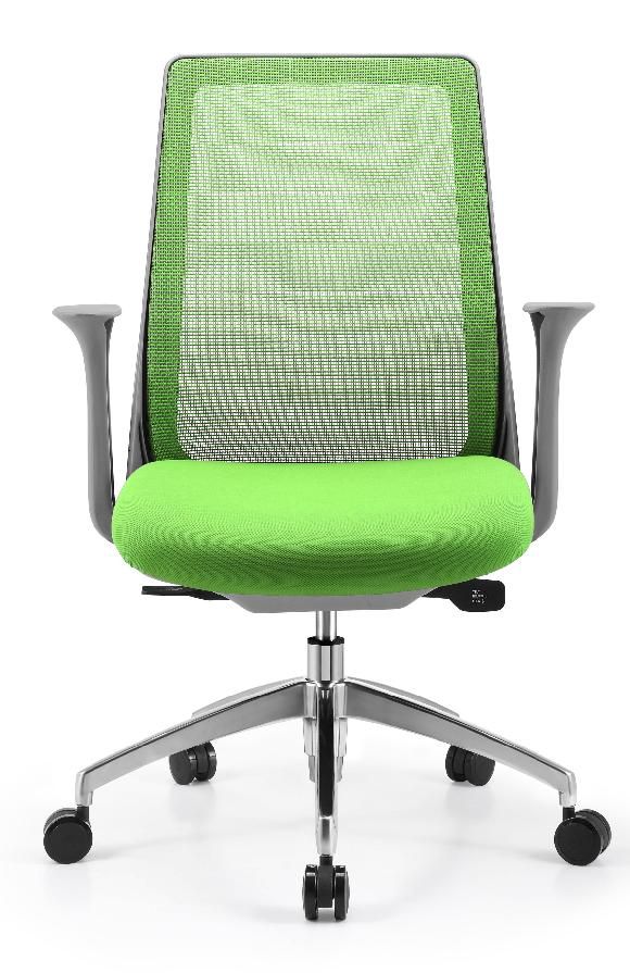 C1 office chair-bigao furniture