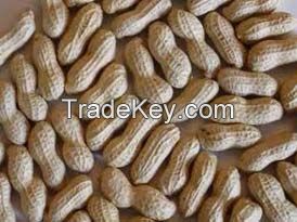 Shelled Groundnuts