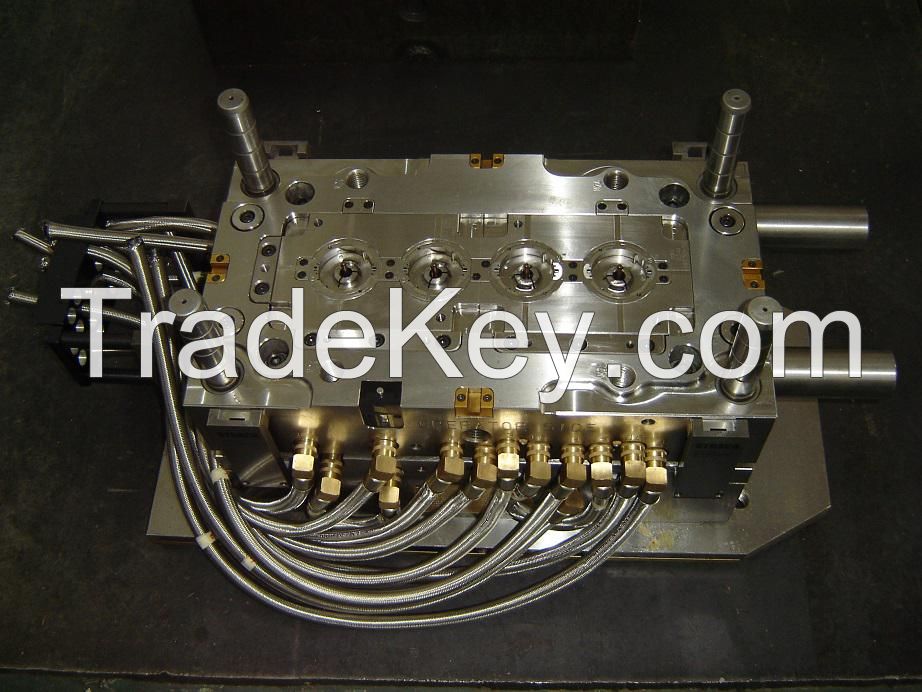 Mold for Fuel Pump &acirc;component on Automobile