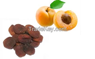 dried apricots