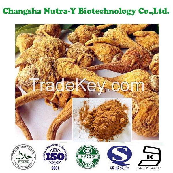 Maca Extract, maca extract powder , maca powder, maca extract 5:1/10:1