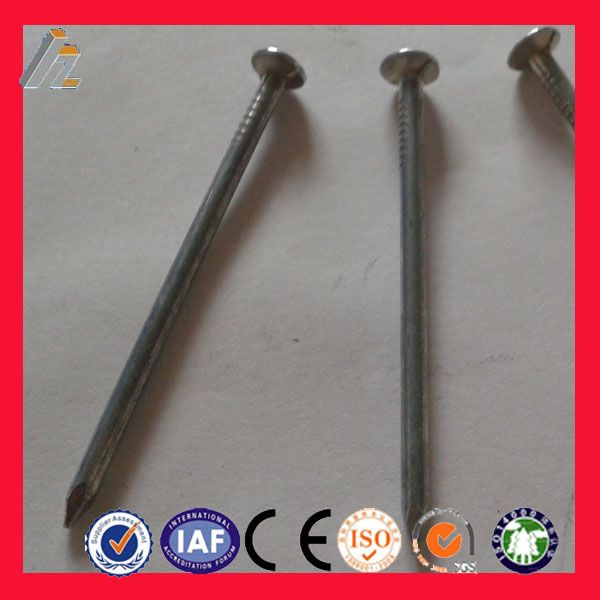 anping supplier common nails price(ISO9001 factory)