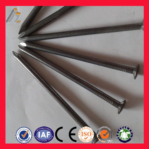 anping supplier common nails price(ISO9001 factory)