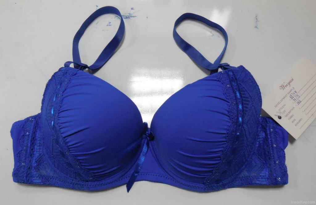 Princess Ladies Lace Sexy Bra