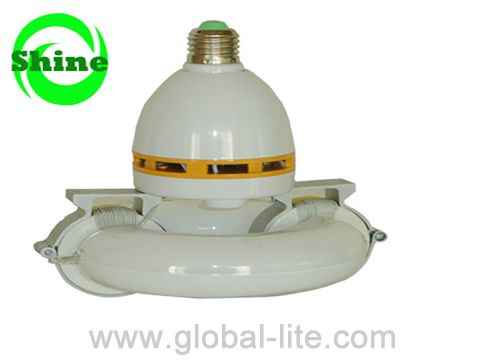 Self Ballasted Induction Lamp
