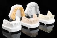 Dental Gypsum