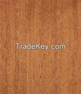 African Mahogany