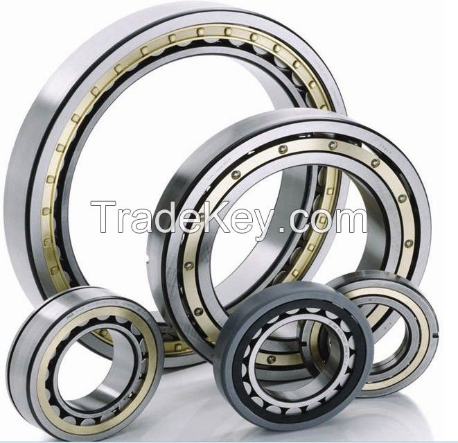 cylindrical roller bearings  NU1030