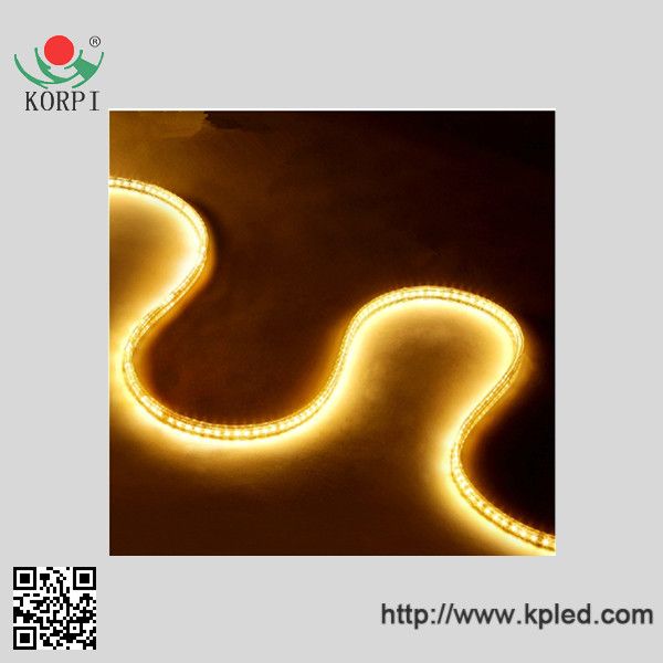 High quality 127V, 60led/m SMD3528 LED rope light of China supplier