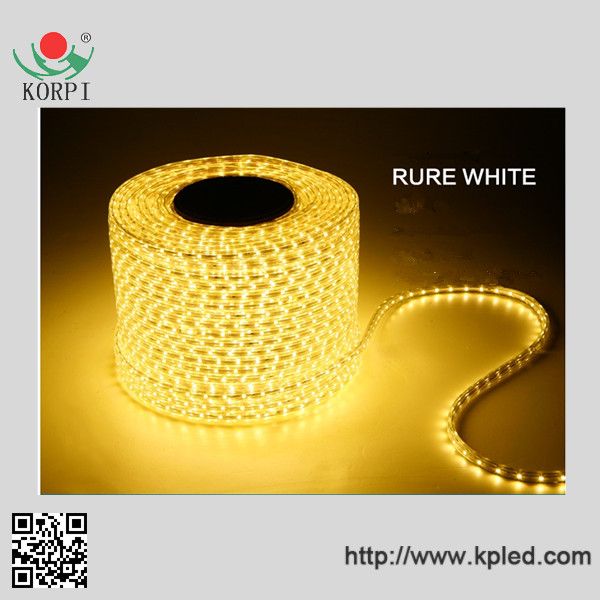 Hot sale 220V, 60led/m SMD5050 LED rope light of China supplier