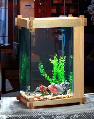 Acrylic Aquarium