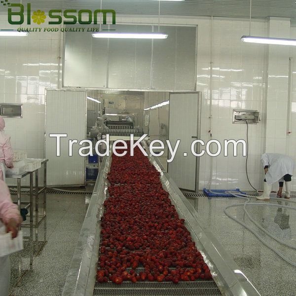 Export frozen fruit frozen strawberry IQF strawberry