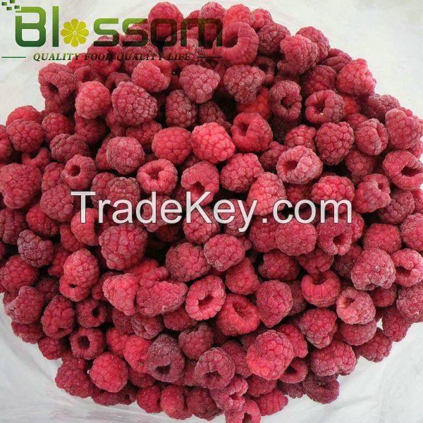 Supply frozen fruit frozen raspberry IQF raspberry