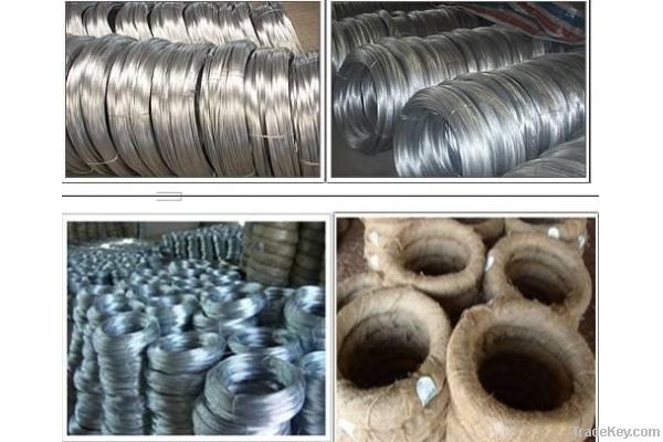 Buliding Material Galvanized Iron Wire /Galvanized Wire (low carbon wi