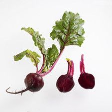 Beet root P.E.