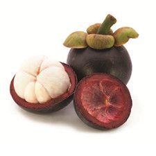 Mangosteen P.E.