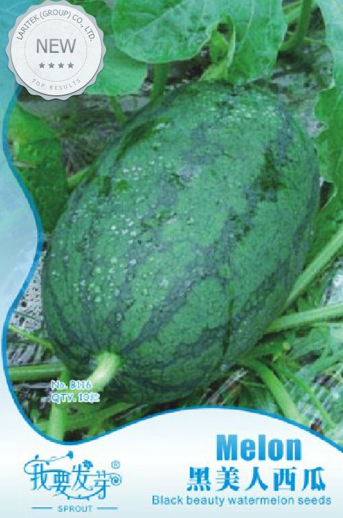 10 Original Packs, 10 Seeds / Pack, Long Black Sweet Juicy Watermelon, Great Summer Fruits For One's Body