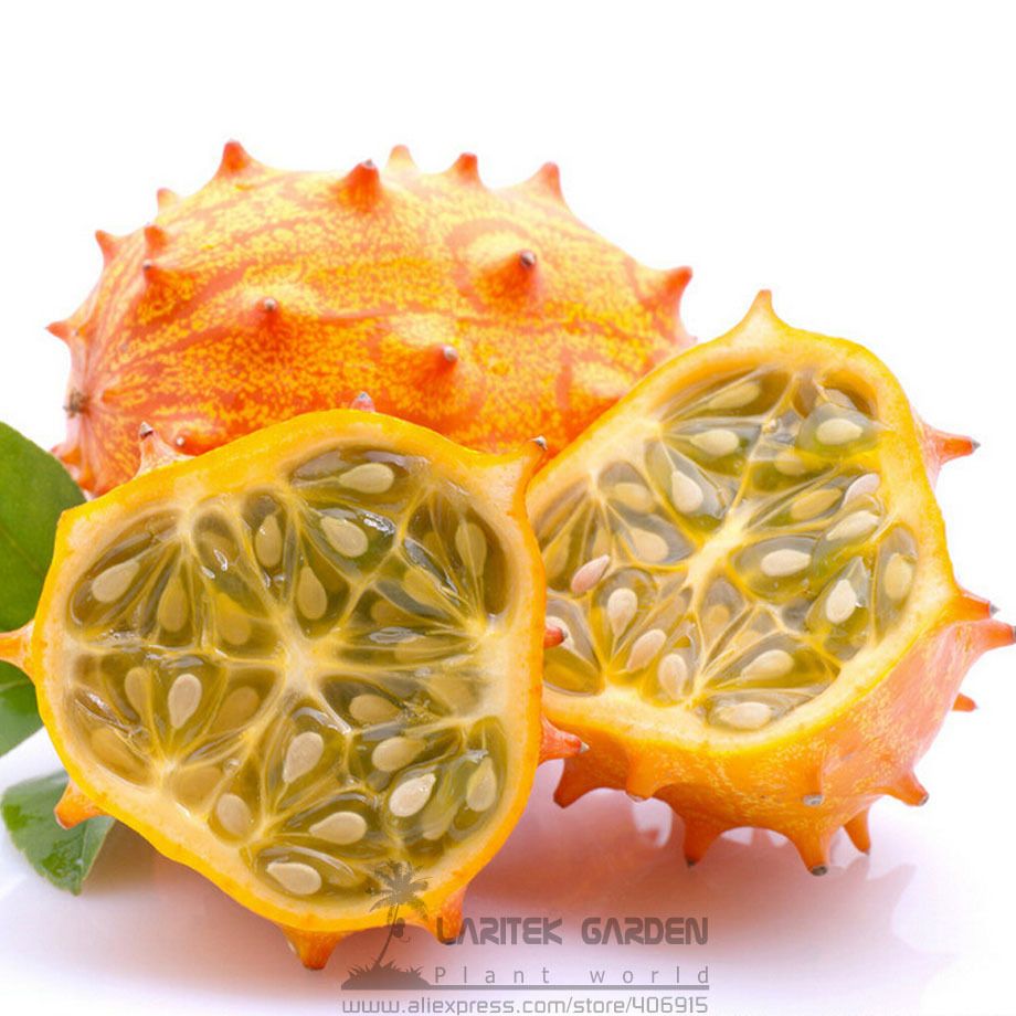 20pcs Rare Delicious Organic KIWANO Melano Cucumis metuliferus African Horned Cucumber Fruit Melon Seeds 