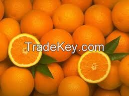 lemon , tangerines,oranges