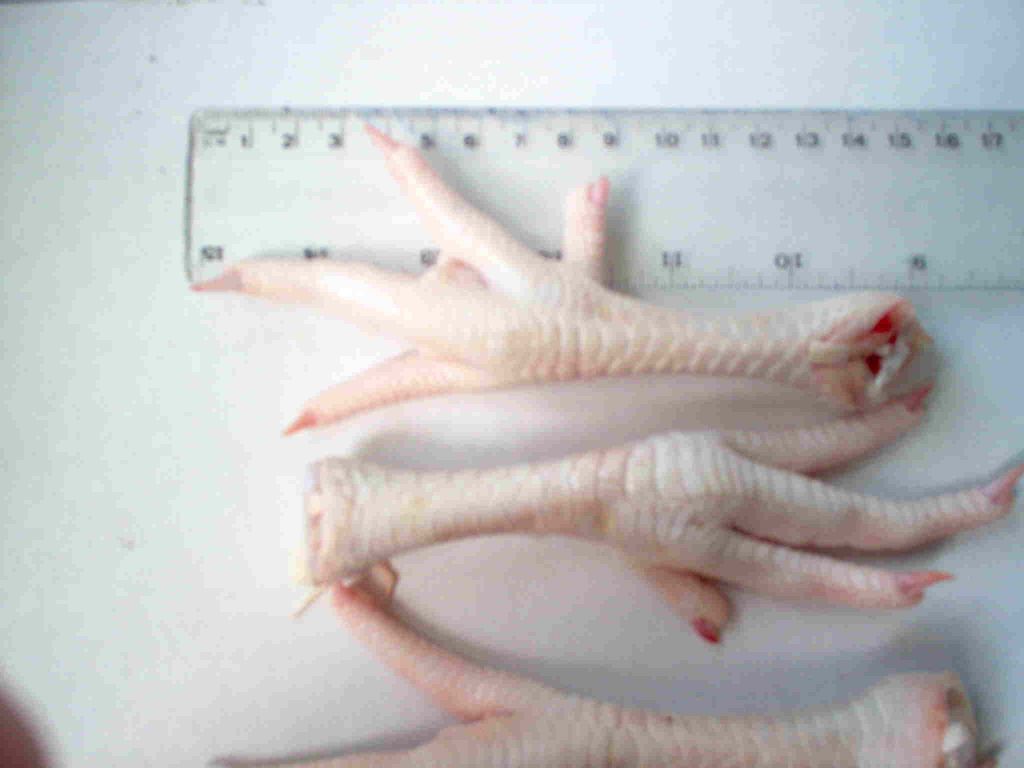 Frozen chicken feet Grade A