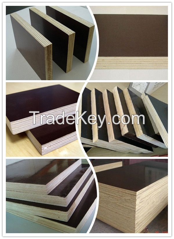 18mm hardwood film faced plywood/shuttering plywood for construction