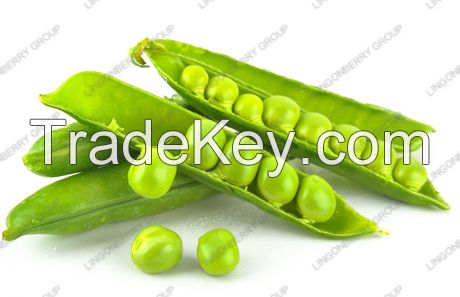 Pea protein isolated