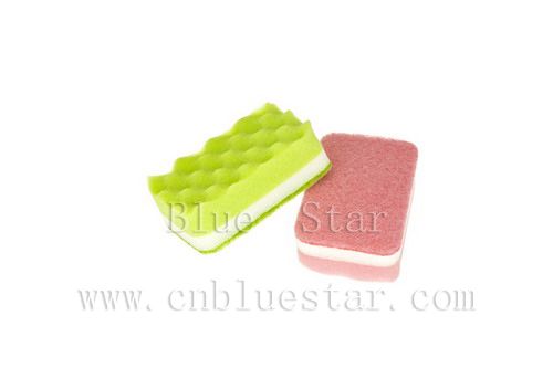 sponger scourer