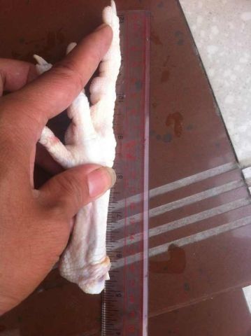 Processed Frozen Chicken Feet Grade A