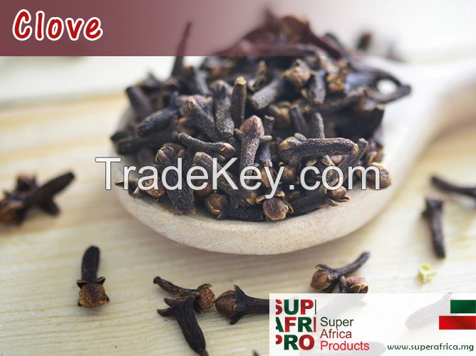 Cloves Suppliers Madagascar