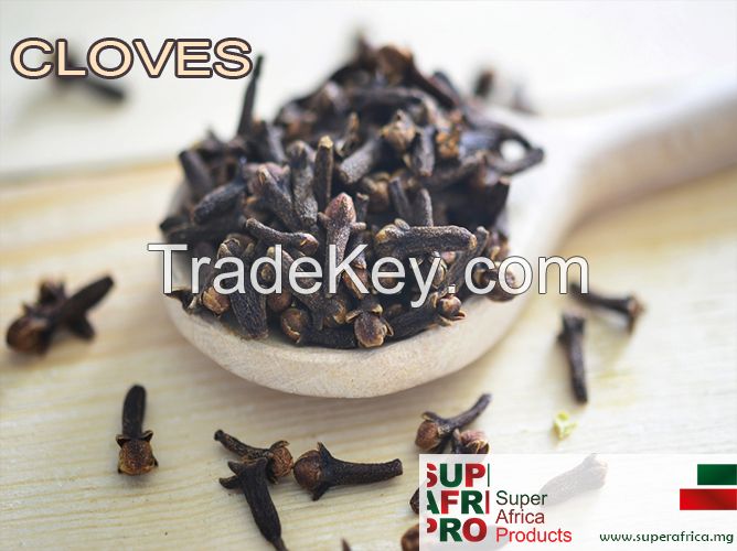 Clove Suppliers