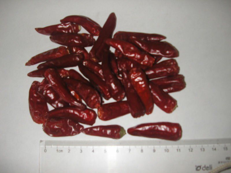 Red Dried Chilli