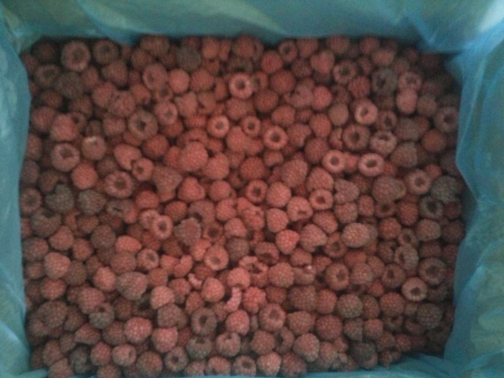 Frozen raspberries