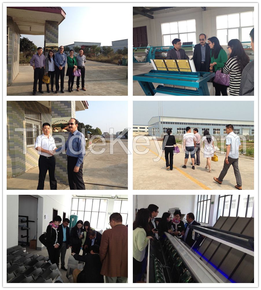 2015 new grains color sorter in China