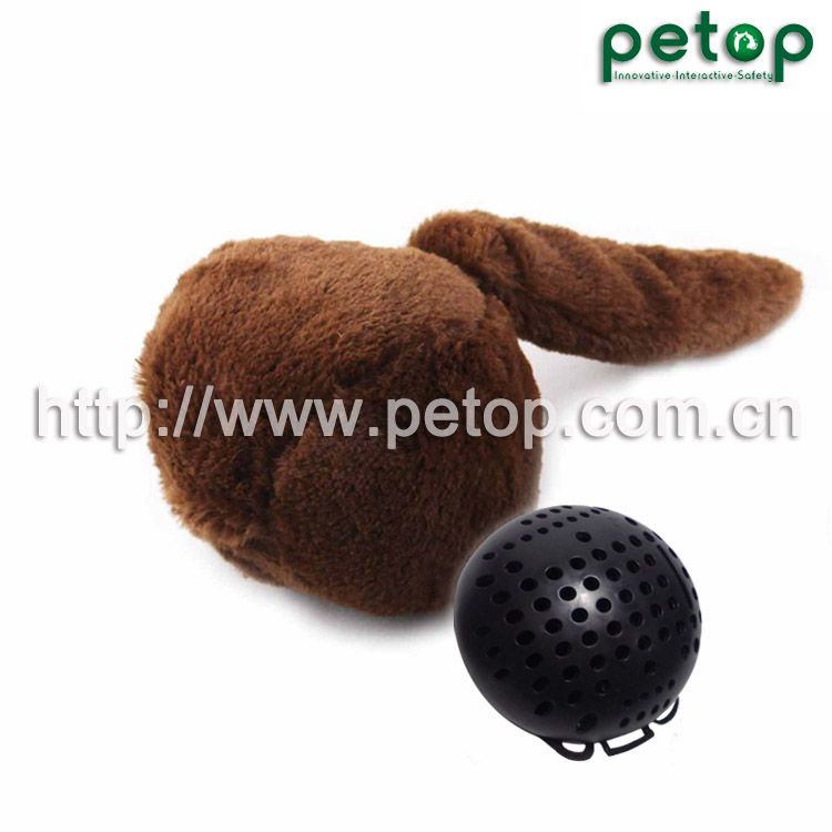 Pet Cat & Dog Toys Balls