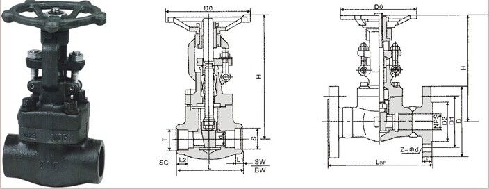 zhiyuan technical Forged Gate Valves