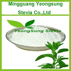 Pure Natural plant extract stevia powder