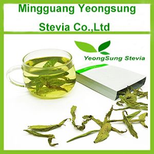 Natural Stevia Leaf Tea