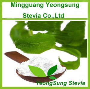 Stevia Extract Powder