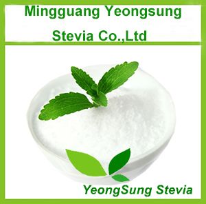 Stevia Extract Powder